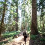 优博平台官网注册步骤详解,轻松开启你的账户体验 8fxxo0op