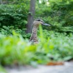 优发国际登录:畅享在线娱乐的全新体验与乐趣 lzw6dgpo