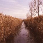 亚汌城老虎机:如何在游戏中获得更高胜率 p892z1gjd