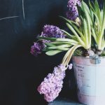 深入解析马牌赌博的规则与技巧,助你赢得胜利 uws02bsm3m